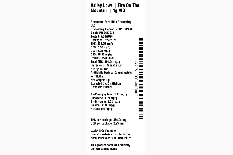 Fire On The Mountain by Valley Lows