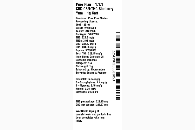 Blueberry Yum by Pure Plan