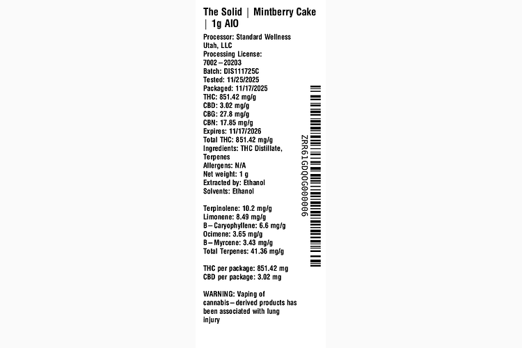 Mintberry Cake by The Solid