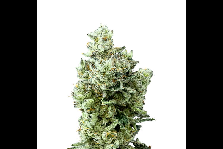 Pineapple Bang