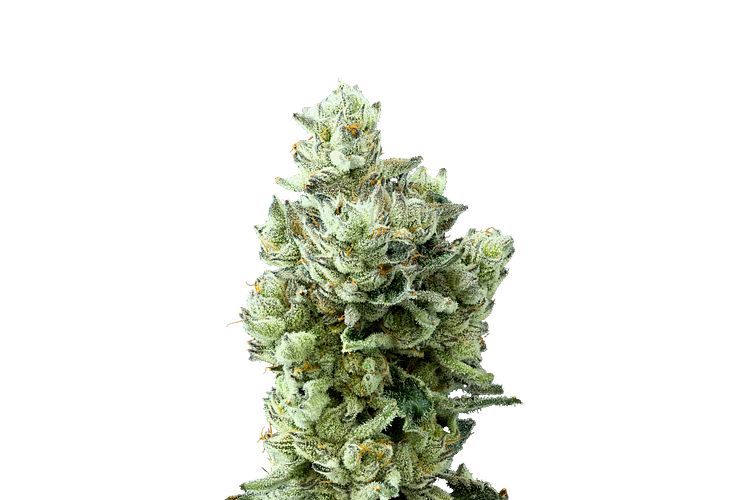 Pineapple Bang