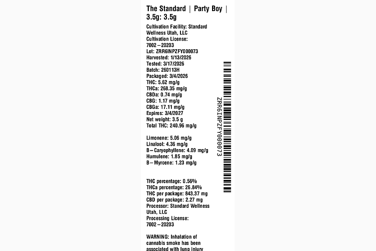 Party Boy by The Standard