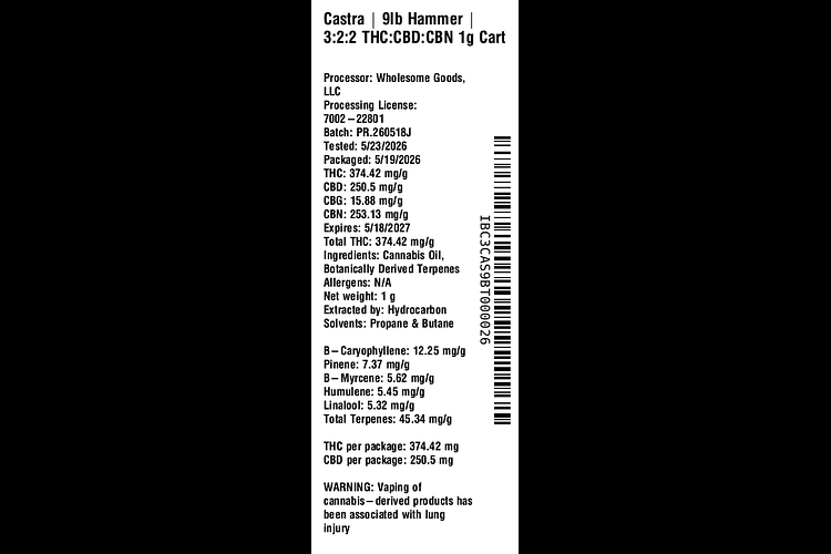 9LB Hammer by Castra