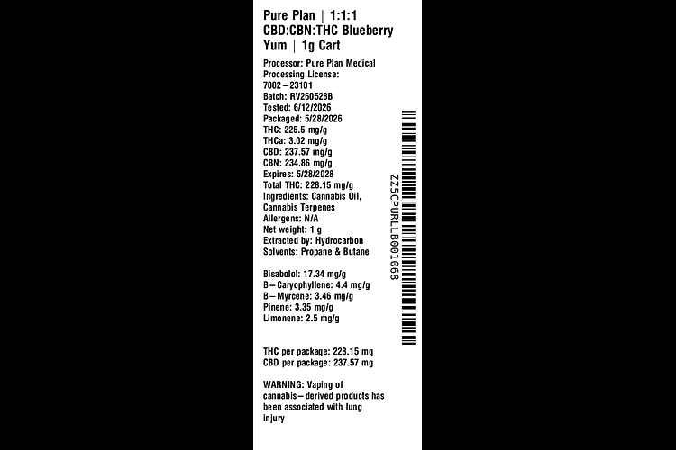 Blueberry Yum by Pure Plan