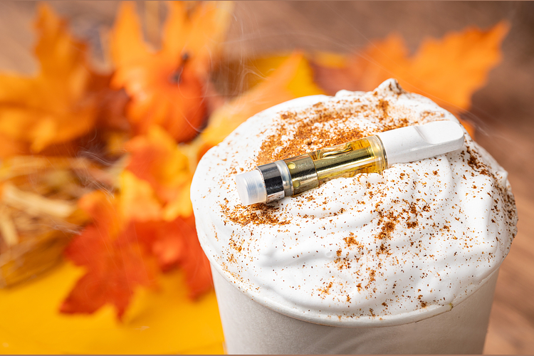 Splash - Pumpkin Spice by Hilight