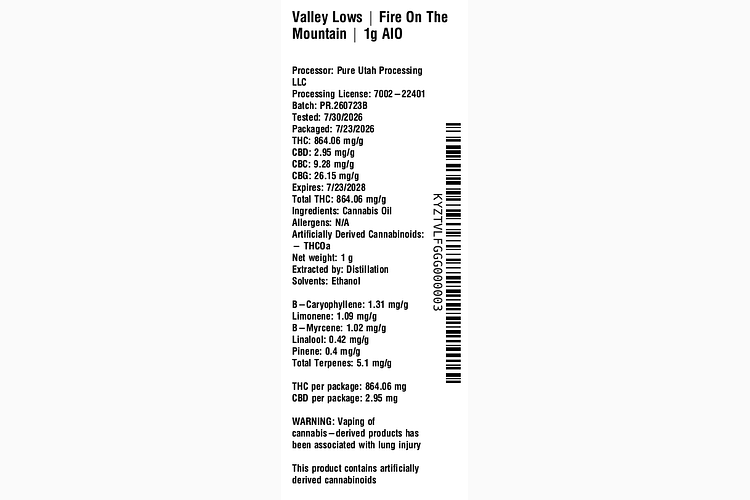 Fire On The Mountain by Valley Lows
