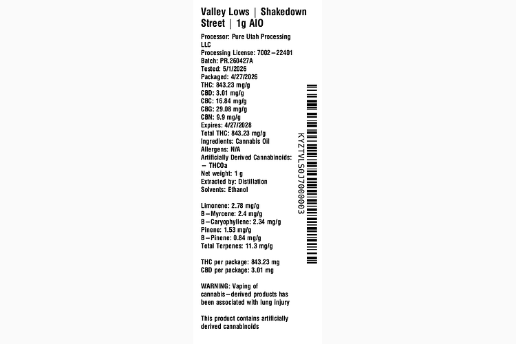 Shakedown Street by Valley Lows