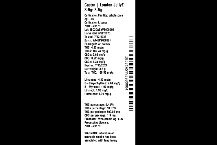 London JellyZ by Castra