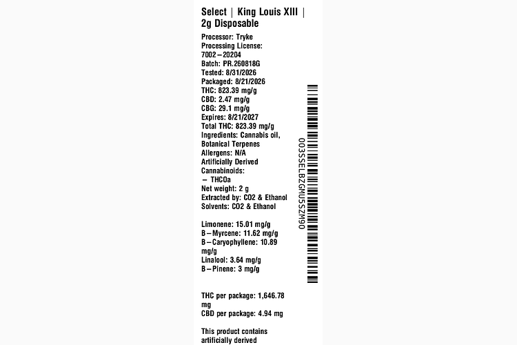King Louis XIII by Select