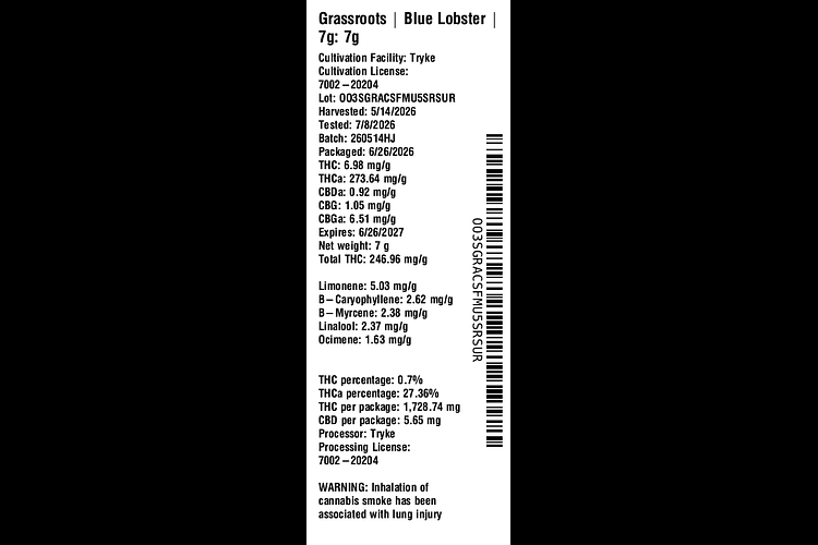 Blue Lobster by Grassroots