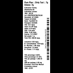Dirty Taxi by Pure Plan
