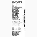 Grid City Grapes by Pure Plan