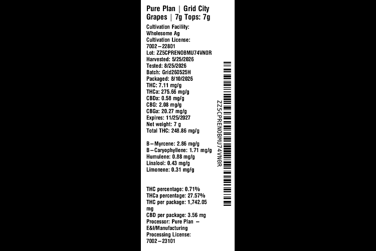 Grid City Grapes by Pure Plan