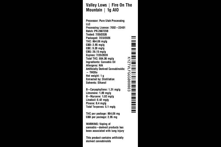Fire On The Mountain by Valley Lows