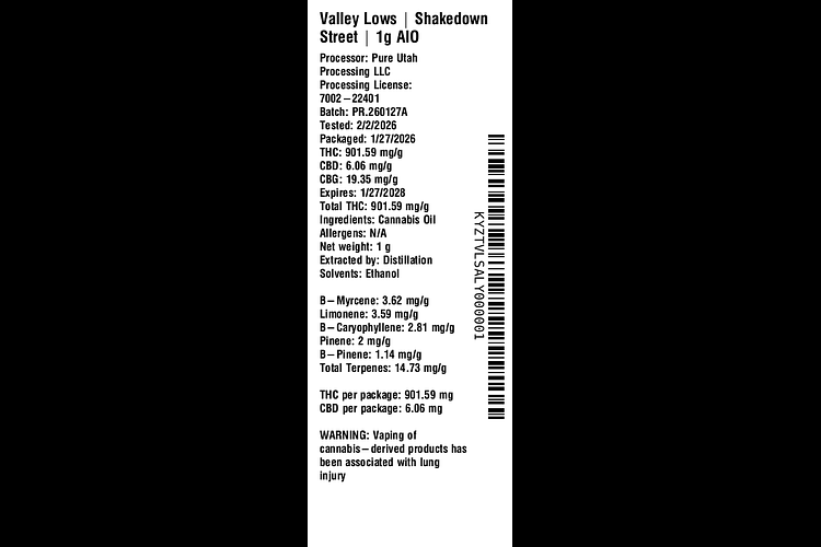Shakedown Street by Valley Lows