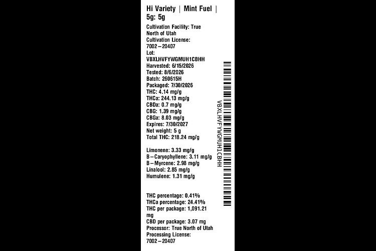 Mint Fuel by Hi Variety