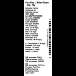 Milled Flower by Pure Plan