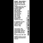 Beary White by Hilight