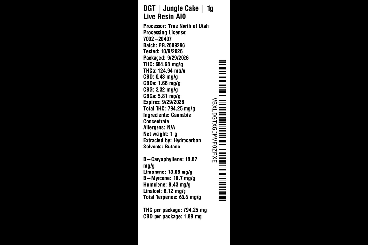 Jungle Cake by DGT
