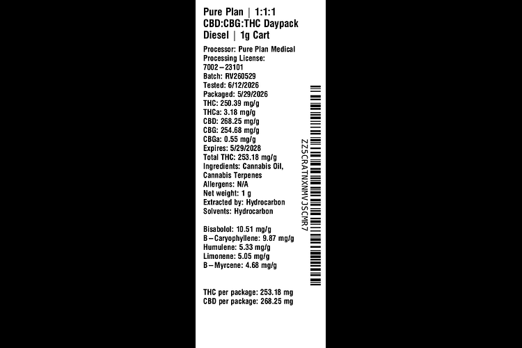 Daypack Diesel by Pure Plan