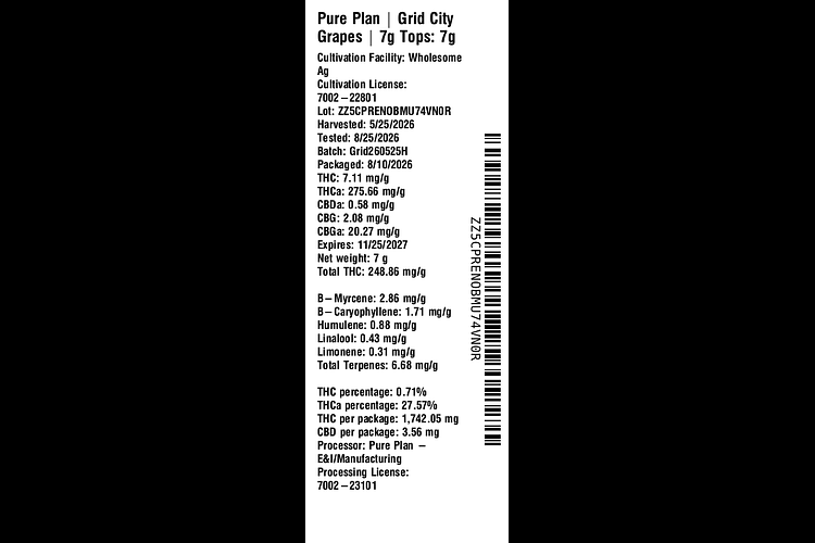 Grid City Grapes by Pure Plan