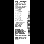 Beary White by Hilight