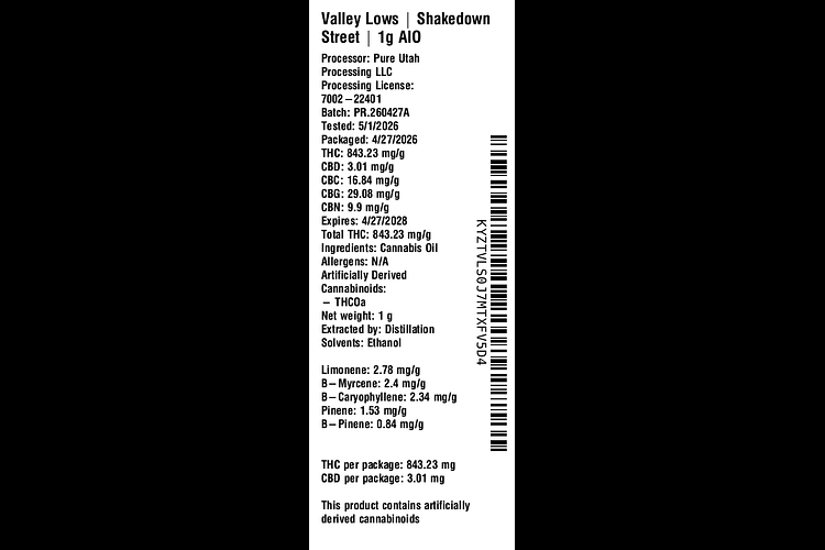 Shakedown Street by Valley Lows
