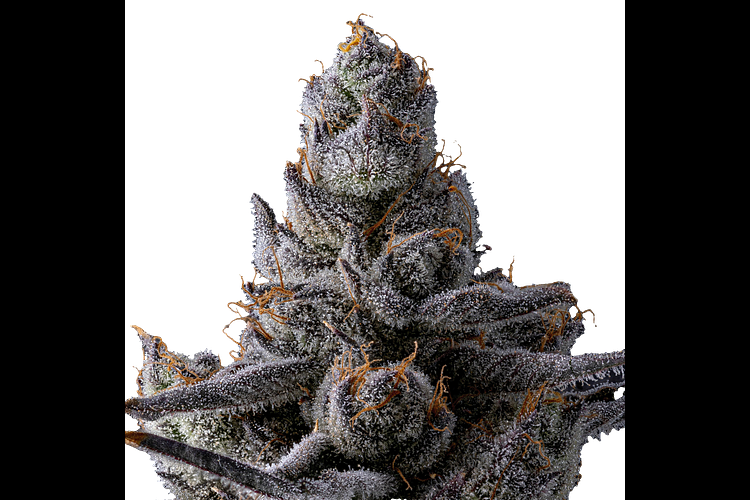 Affie OG