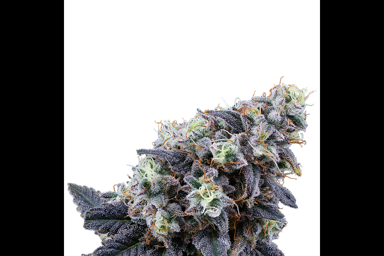 Off Gas