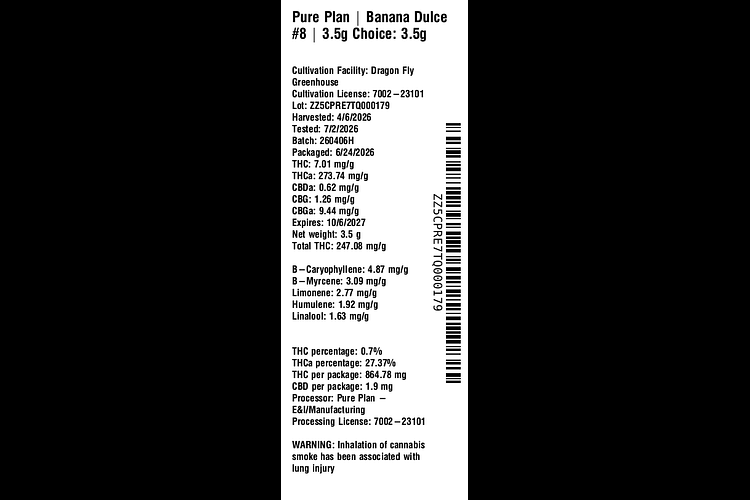 Banana Dulce #8 by Pure Plan