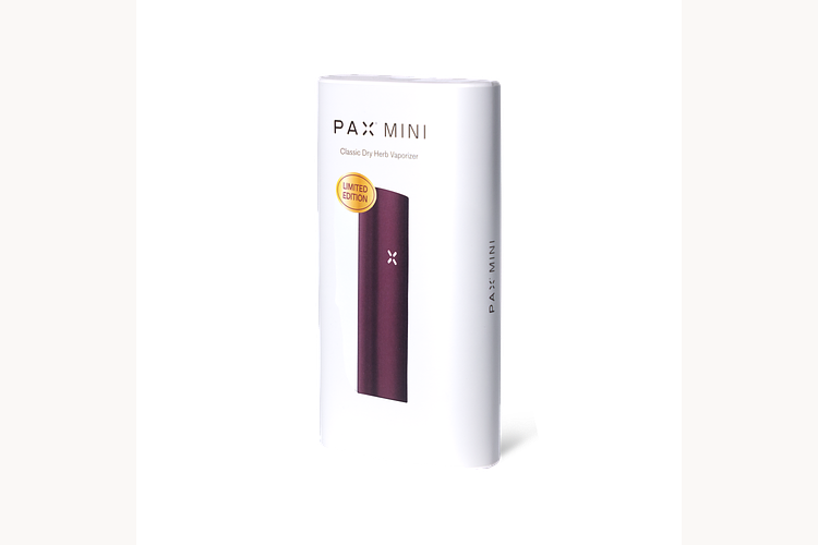 Mini 2 | Oxblood by PAX