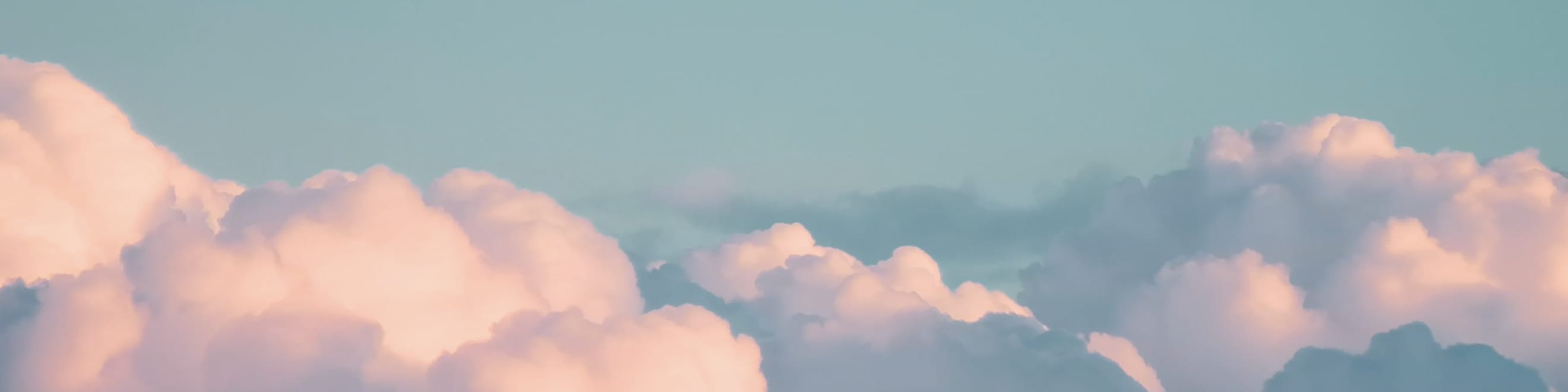 High Variety Cover Image