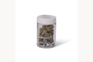 Modified Grapes by Pure Plan