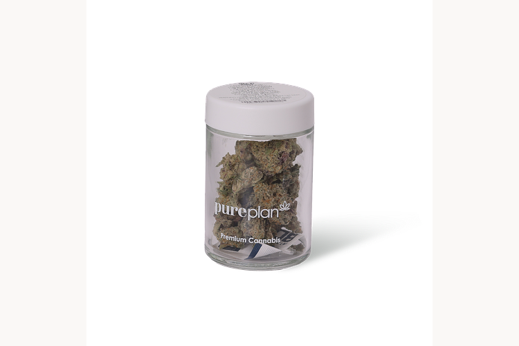 Modified Grapes by Pure Plan