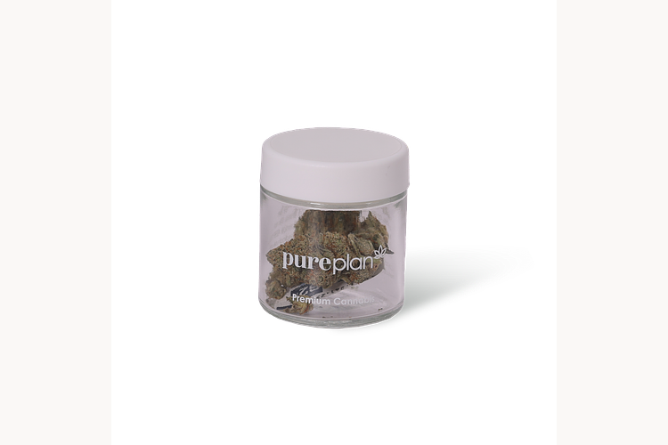 Strawberry 2.1 by Pure Plan