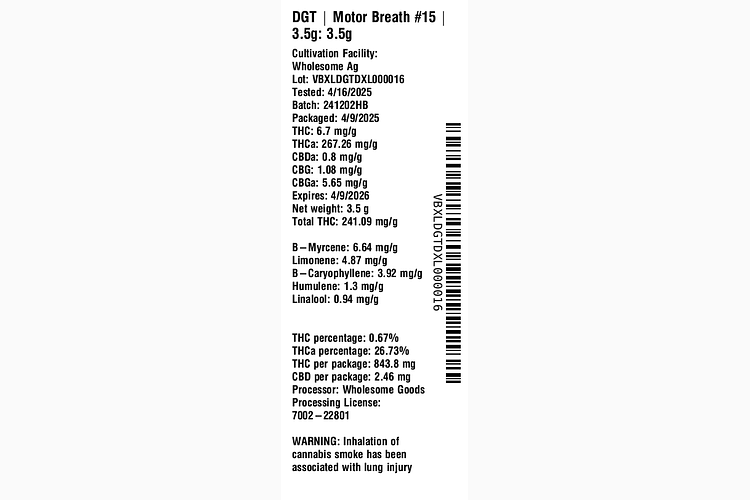 Motor Breath #15 by DGT