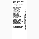 Miami Yayo by Hilight
