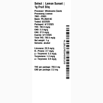 Lemon Sunset Fruit Stiq by Essentials