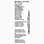 Snoop Dogg OG by Black Sheep