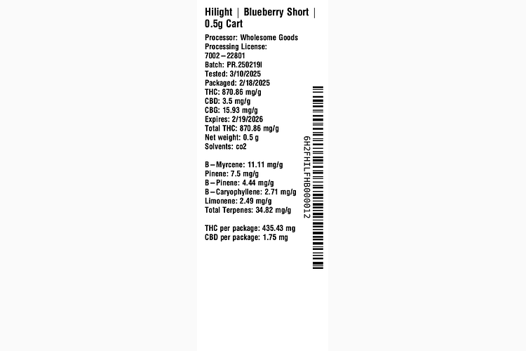 Blueberry Short by Hilight