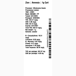 Amnesia by Zion