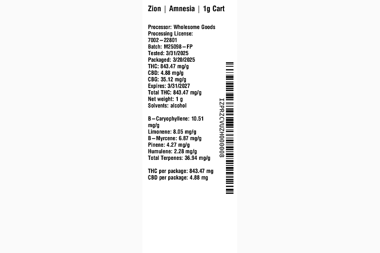 Amnesia by Zion