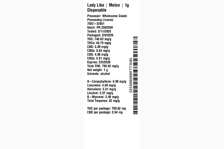 Melon by Lady Like