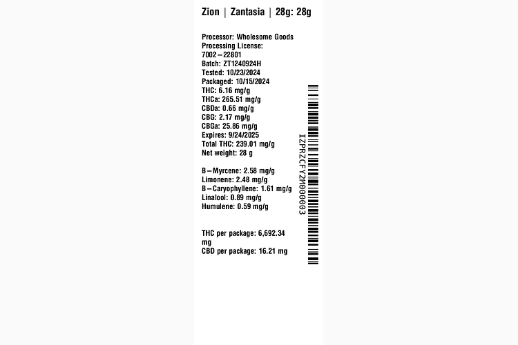 Zantasia by Zion