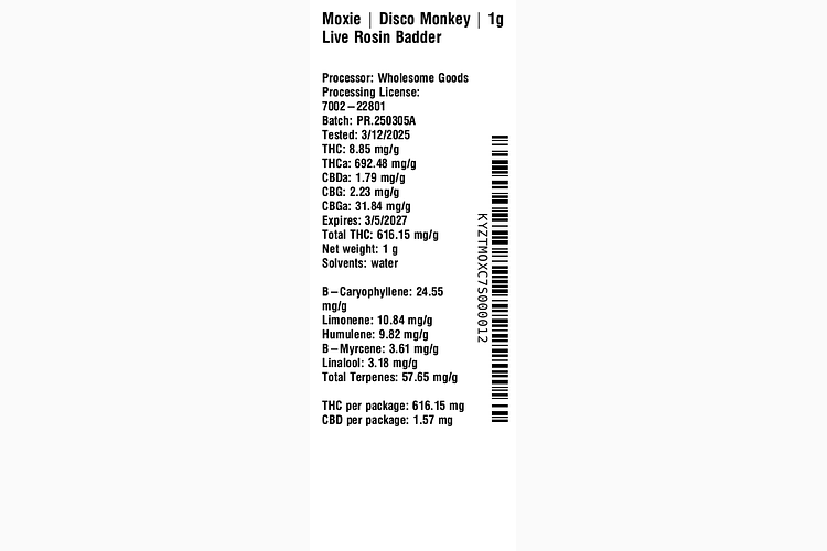 Disco Monkey by Moxie