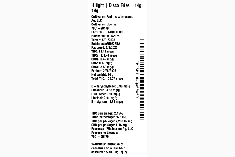 Disco Fries by Hilight