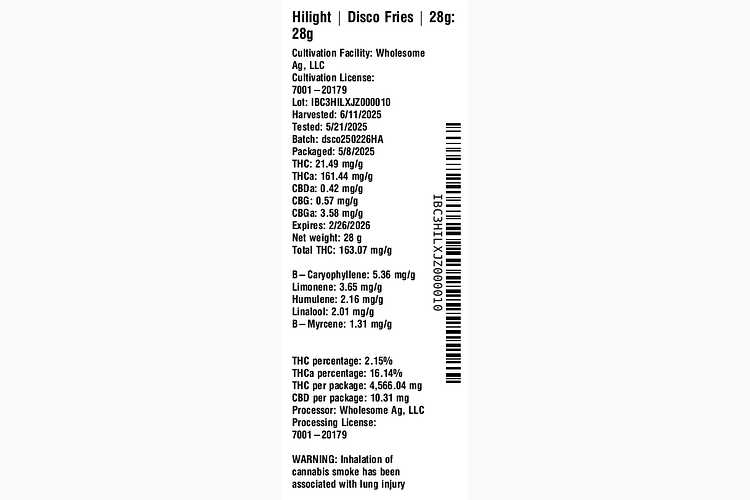 Disco Fries by Hilight