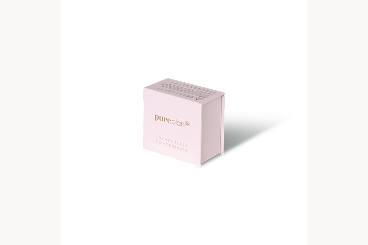 Brucey Fruit by Pure Plan