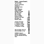 Lemon Sunset Fruit Stiq by Essentials