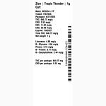 Tropic Thunder by Zion
